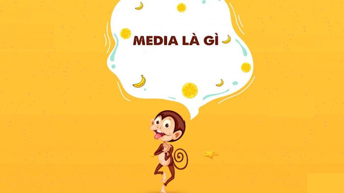 Giới thiệu về Media