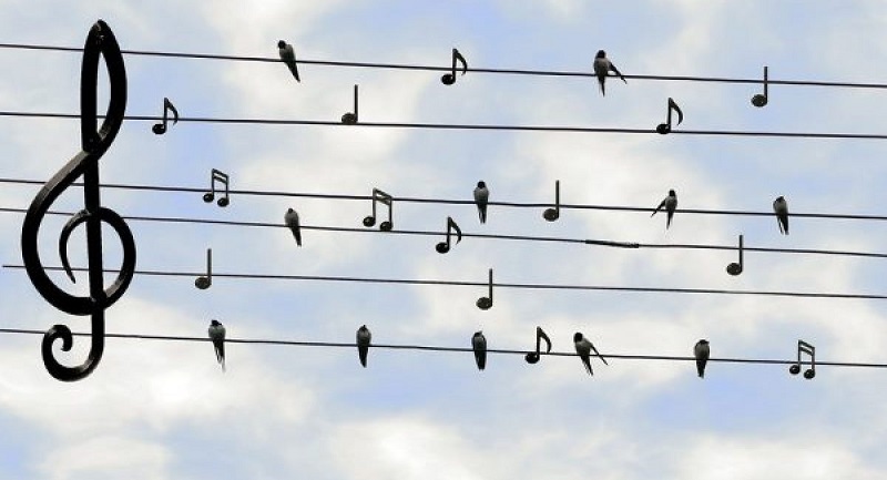 Âm nhạc được lồng ghép khéo léo Âm nhạc được lồng ghép khéo léo